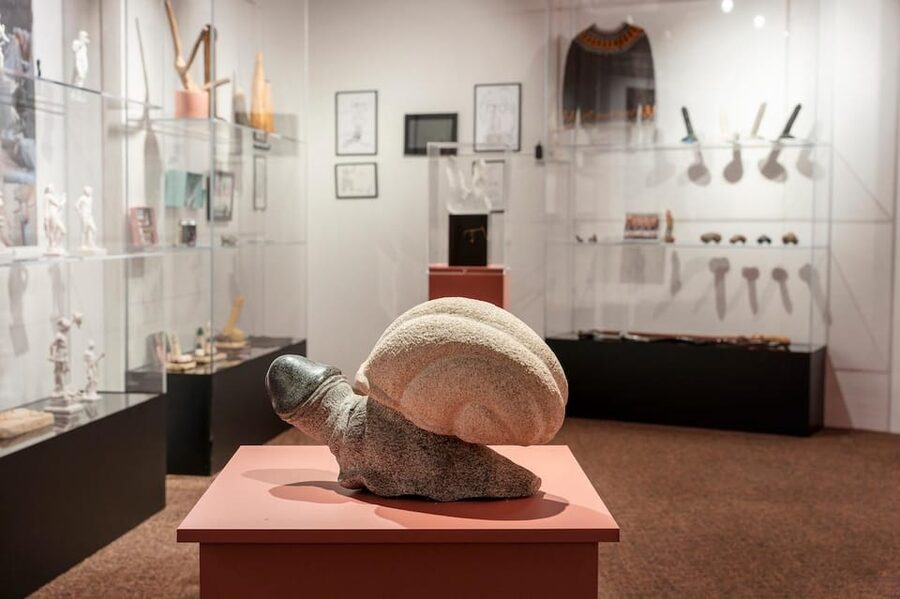 Reykjavik: Icelandic Phallological Museum Entry Ticket - Why the Central Location Helps