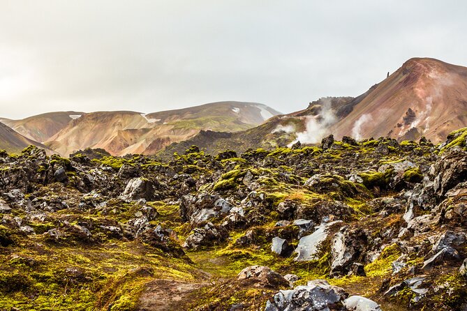 Reykjavík: Landmannalaugar & Icelandic Highlands Super Jeep Tour - What the $276.95 price buys you