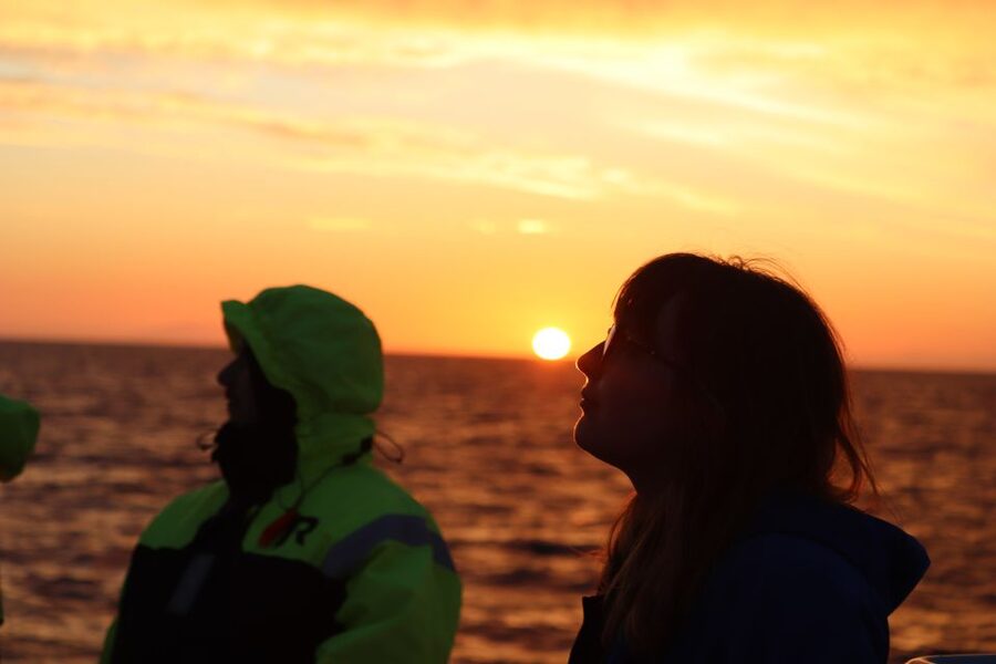 Reykjavík: Midnight Sun Whale Watching Cruise - Rósin’s viewing areas and onboard comforts