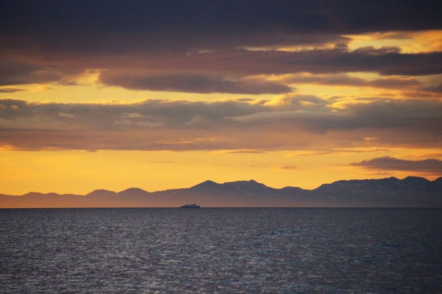 Reykjavík: Midnight Sun Whale Watching Cruise - The free retry and the limits of the guarantee