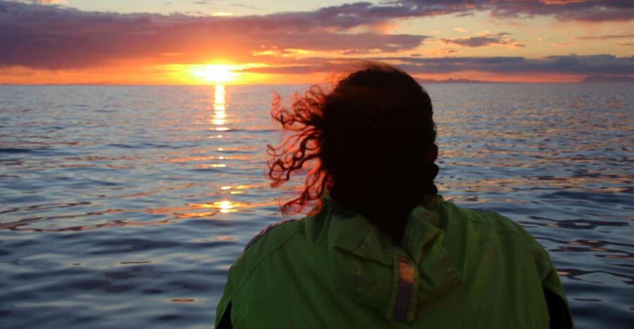 Reykjavík: Midnight Sun Whale Watching Cruise - Why the midnight sun changes the trip