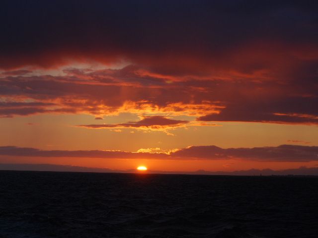 Reykjavik: Midnight Sun Whale Watching Tour - Is $111 a fair price?