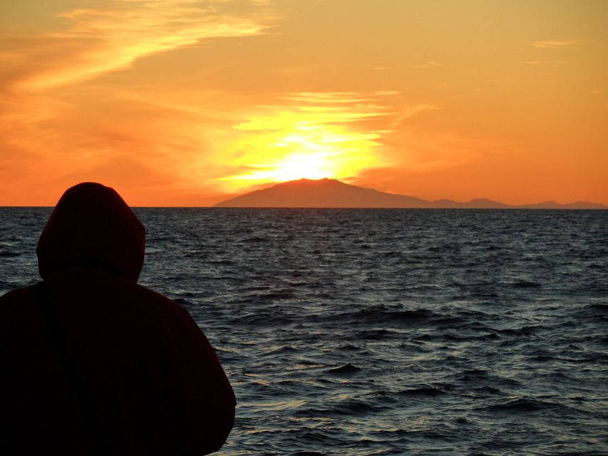 Reykjavik: Midnight Sun Whale Watching Tour - Why the midnight sun changes the experience