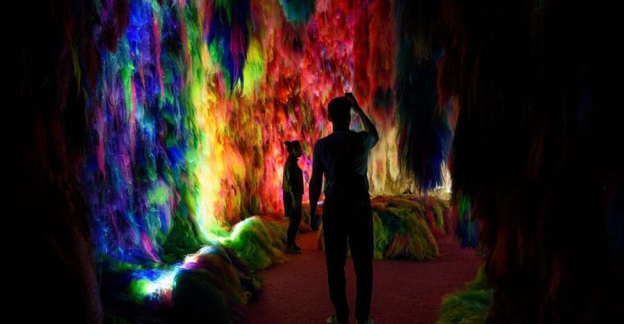 Reykjavík: Multi-Sensory Art Installation Chromo Sapiens - Key things to know before entering