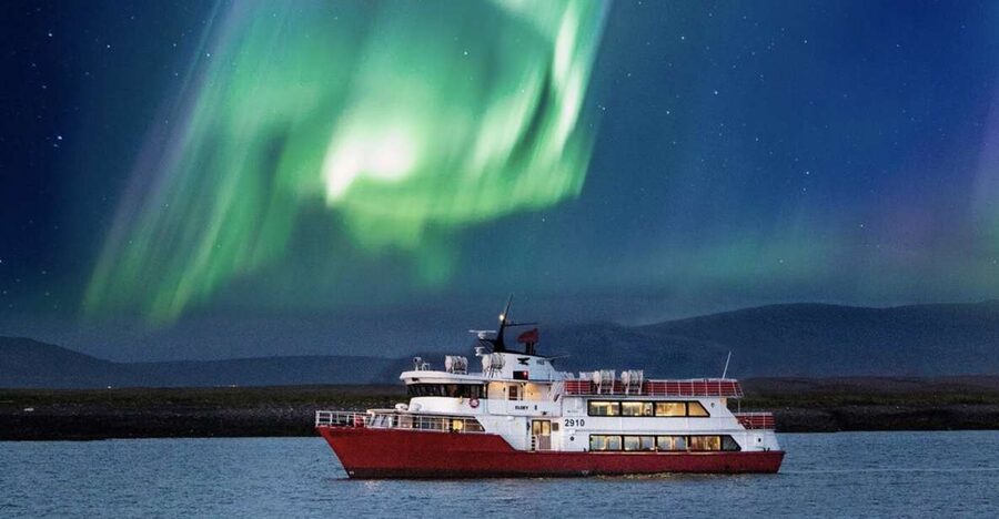 Reykjavík: Northern Lights Cruise - Harpa, Hallgrímskirkja, and the city lights