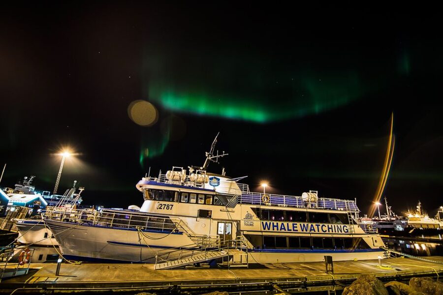 Reykjavik: Northern Lights Guided Boat Tour - Key points to know before you sail