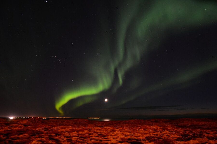 Reykjavik: Northern Lights Motor Yacht Cruise - What the guide adds to the evening
