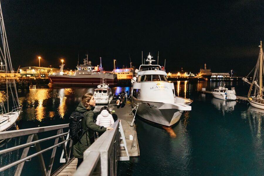 Reykjavik: Northern Lights Yacht Tour - Who should choose this cruise?
