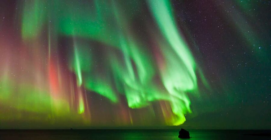 Reykjavik: Premium Northern Lights Tour with Free Photos - Guides who make the cold wait easier