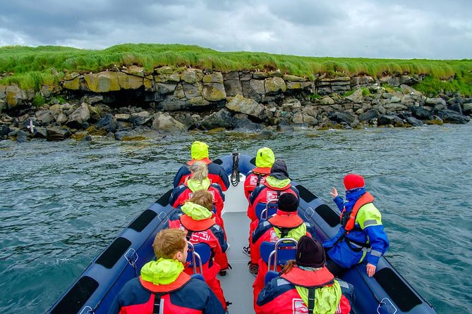 Reykjavik Premium Puffin tour | Close Up and Personal - Is $85 a fair price for one hour?