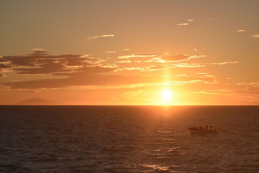 Reykjavik: Premium Whale and Puffin Watching Evening Tour - Watching puffins around Faxaflói Bay