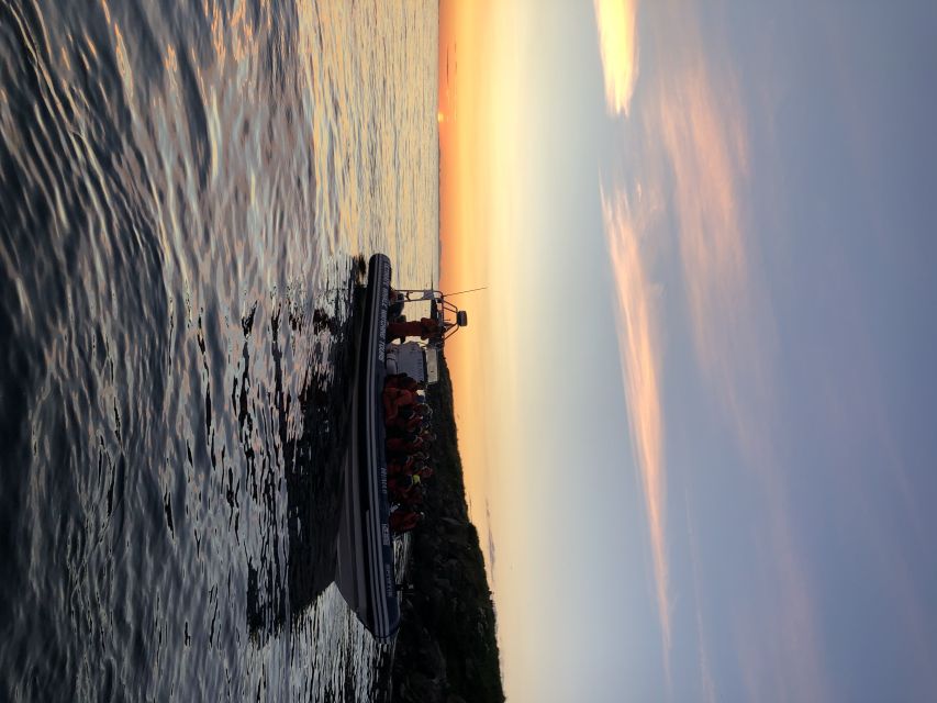 Reykjavik: Premium Whale and Puffin Watching Evening Tour - Who will enjoy this boat most