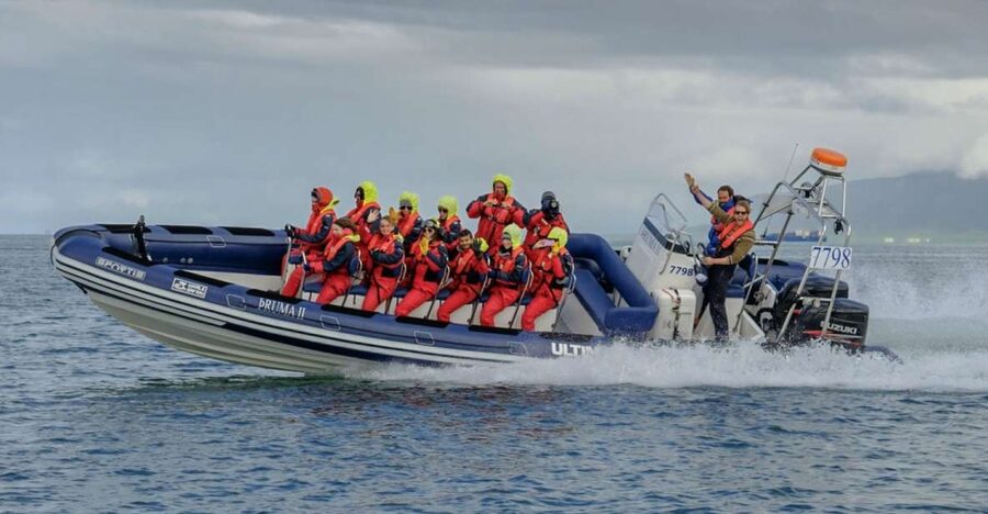 Reykjavik: Premium Whale Watching with Flexible Ticket - Key points to know before you book