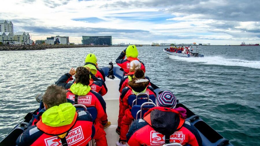 Reykjavik: Premium Whale Watching with Flexible Ticket - Flexible scheduling for Iceland’s changing weather