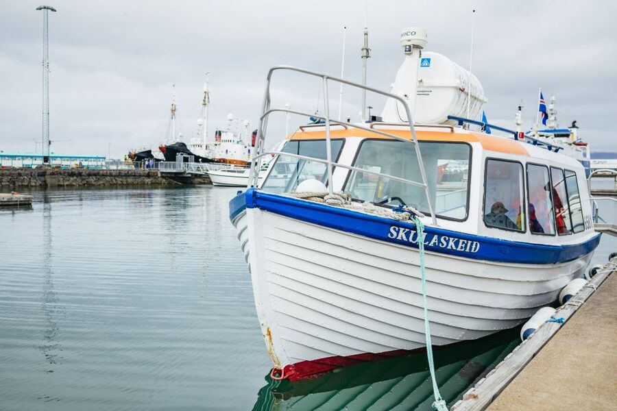 Reykjavik: Puffin Watching Boat Tour - Practical tips for making the most of it