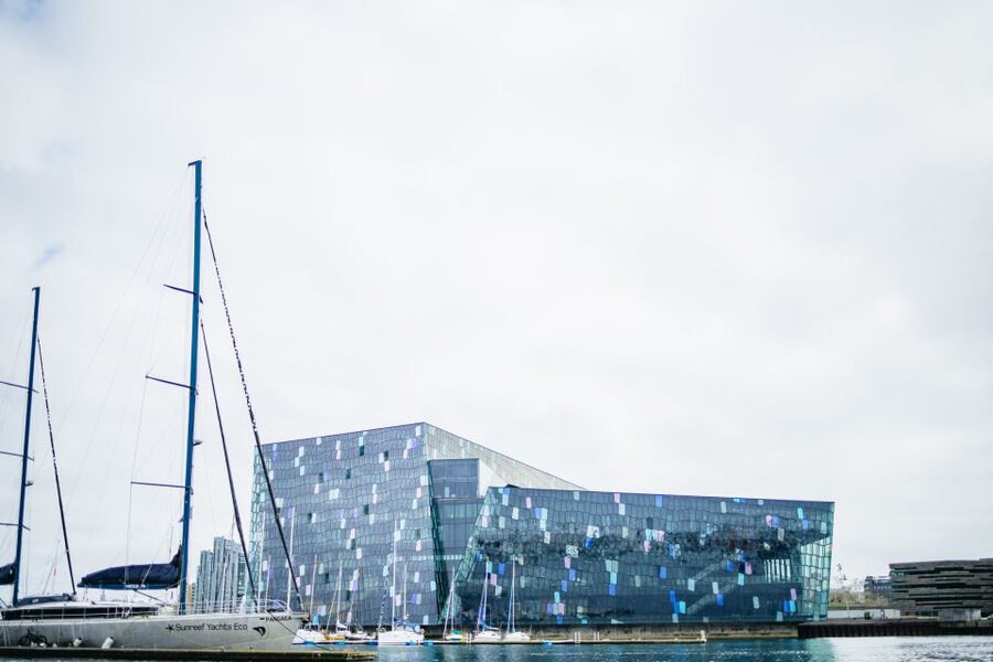 Reykjavik: Puffin Watching Boat Tour - Puffin sightings, photos, and realistic expectations