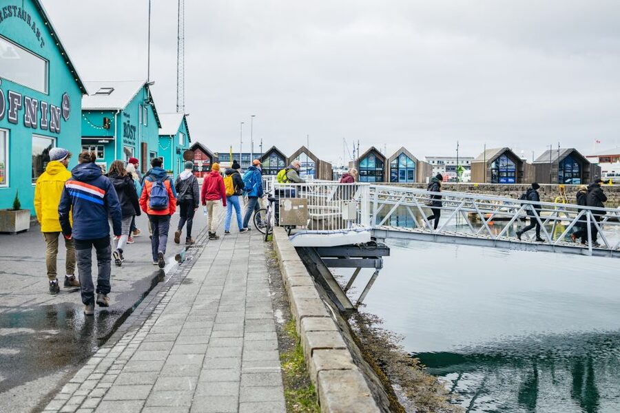 Reykjavik: Puffin Watching Boat Tour - The $64 price and the real value