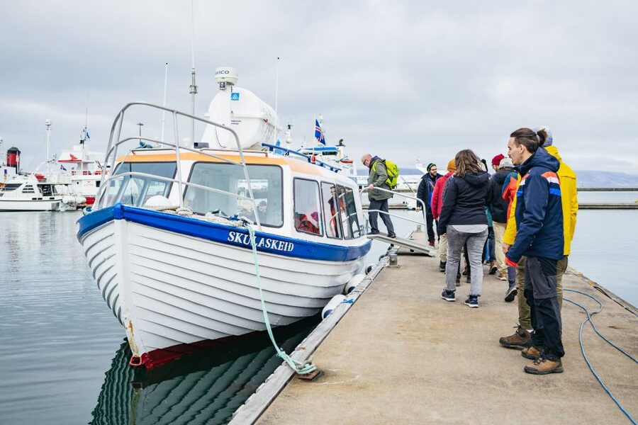 Reykjavik: Puffin Watching Boat Tour - Who should book this Reykjavik boat trip?