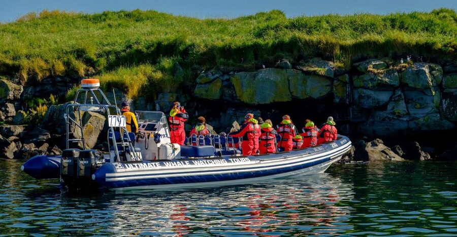 Reykjavik: Puffin Watching Tour - Meeting the puffins near their island colonies