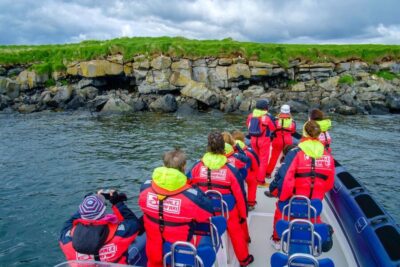 Puffin Watching Tour