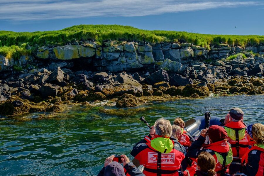 Reykjavik: Puffin Watching Tour - Who should take this tour?