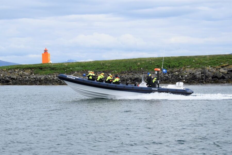 Reykjavik: Puffin Watching Tour by RIB Speedboat - Key points to know before you book
