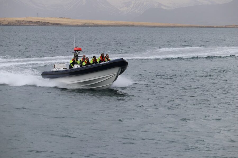 Reykjavik: Puffin Watching Tour by RIB Speedboat - How the small group changes the experience