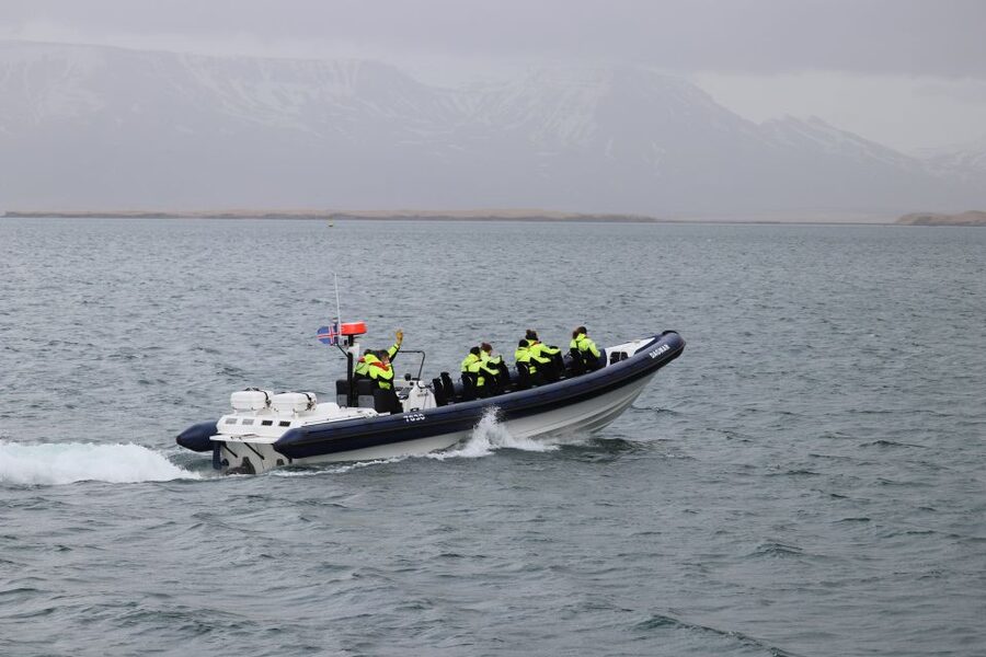 Reykjavik: Puffin Watching Tour by RIB Speedboat - The value of $84 per person