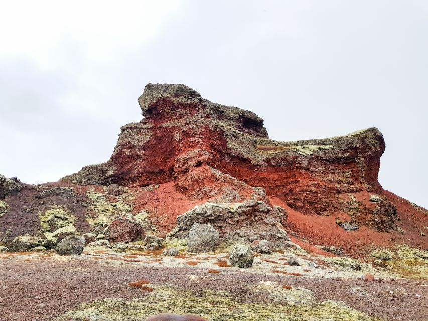 Reykjavik: Red Lava Horse Riding Tour - Meeting the Icelandic horses