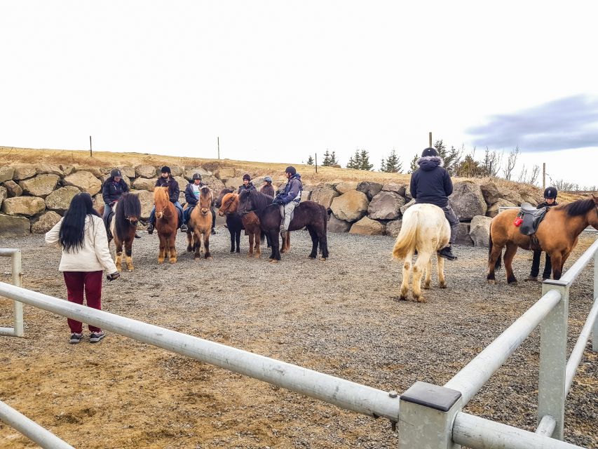 Reykjavik: Red Lava Horse Riding Tour - Who should book this ride?