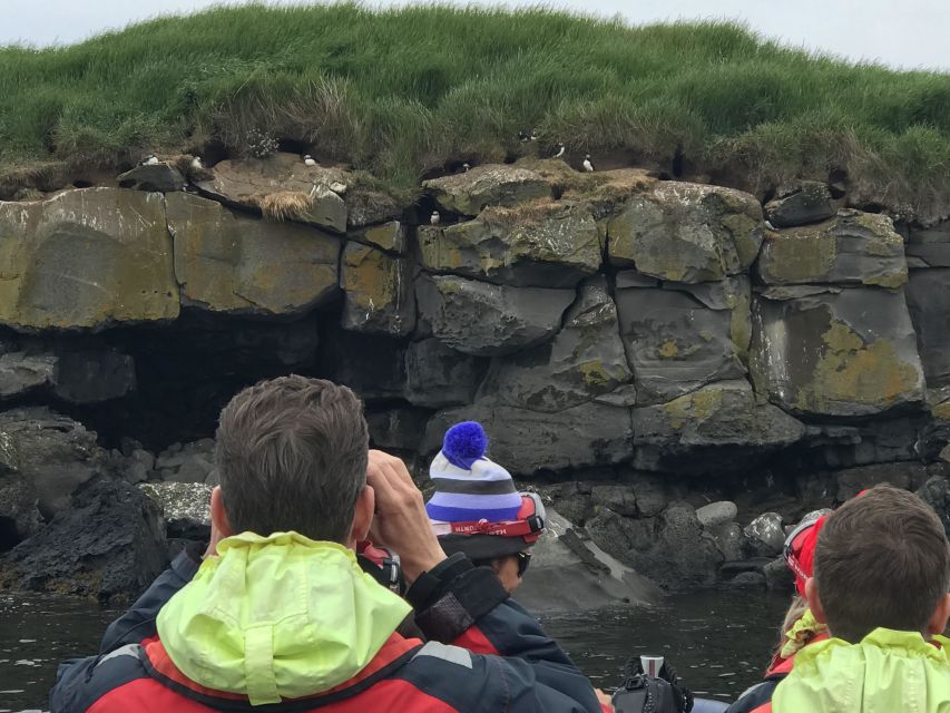 Reykjavík: RIB Speed-Boat Puffin Watching Tour - Meeting Iceland’s puffin colonies