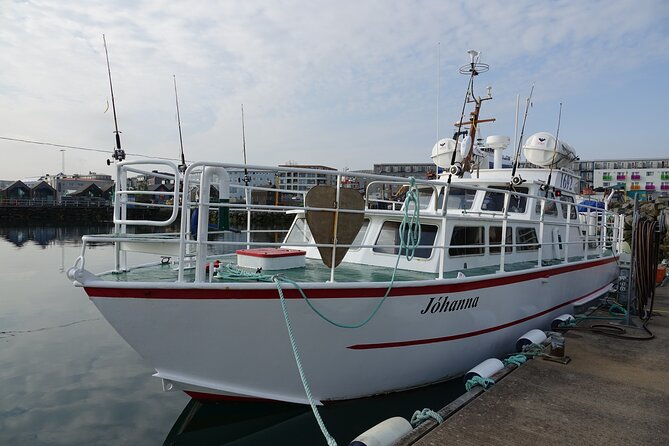 Reykjavik's Finest Catch: Guided Sea Angling Tour for All Levels - How the $181.02 price measures up