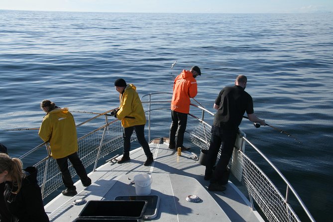 Reykjavik Sea Angling Gourmet - The onboard meal is the real Icelandic payoff