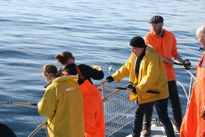 Reykjavik Sea Angling Gourmet - Is $160 a fair price in Reykjavík?