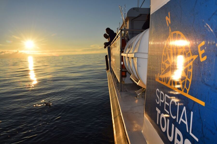 Reykjavik: Sea Fishing Boat Tour & BBQ with the Day's Catch - Key points to know before you cast