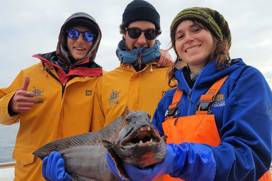 Reykjavik: Sea Fishing Boat Tour & BBQ with the Day's Catch - Who gets the best value from this trip