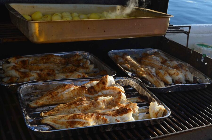 Reykjavik: Sea Fishing Boat Tour & BBQ with the Day's Catch - Puffin Island and wildlife on the water