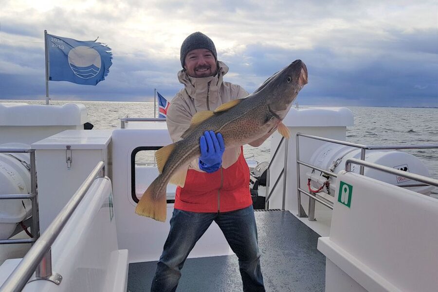 Reykjavik: Sea Fishing Boat Tour & BBQ with the Day's Catch - Moving between fishing spots