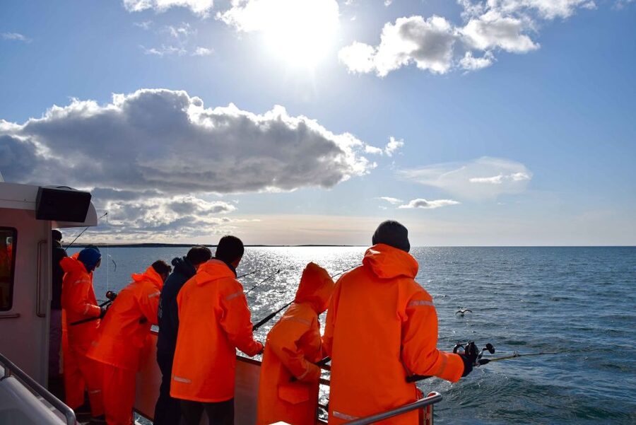 Reykjavik: Sea Fishing Boat Tour & BBQ with the Day's Catch - Turning the catch into a hot meal