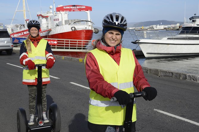 Reykjavik Segway Tour - City Hall and Lake Tjornin