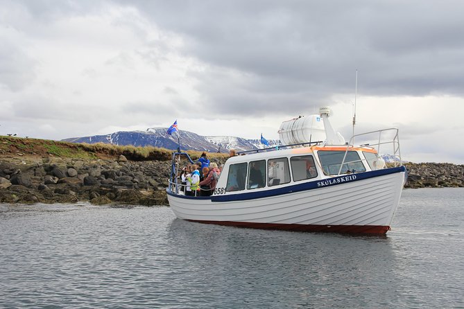 Reykjavik Shore Excursion: Puffin Sightseeing Cruise - The small boat: better access, tighter seating