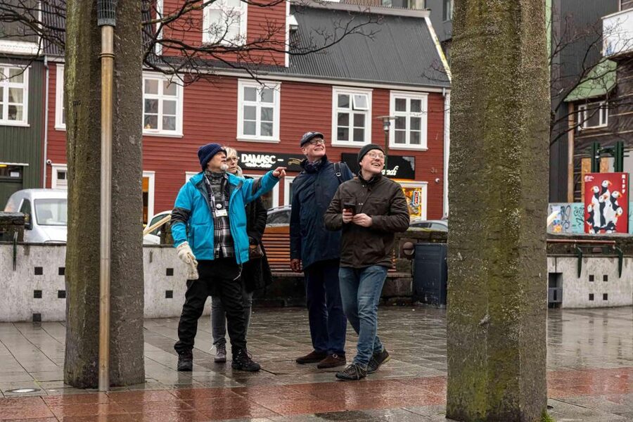 Reykjavik: Sightseeing Walking Tour with a Viking - Alþingi and the story of Iceland’s government