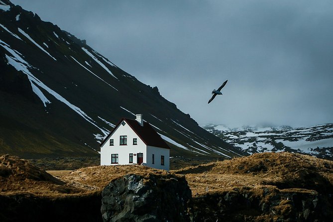 Reykjavik: Snaefellsnes National Park Small Group Trip - Ytri Tunga and the chance to see seals