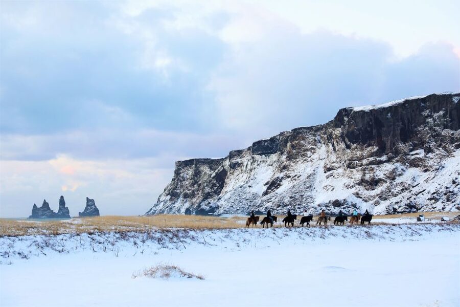 Reykjavik: South Coast Waterfalls & Glacier Small-Group Tour - The guides are a major part of the value