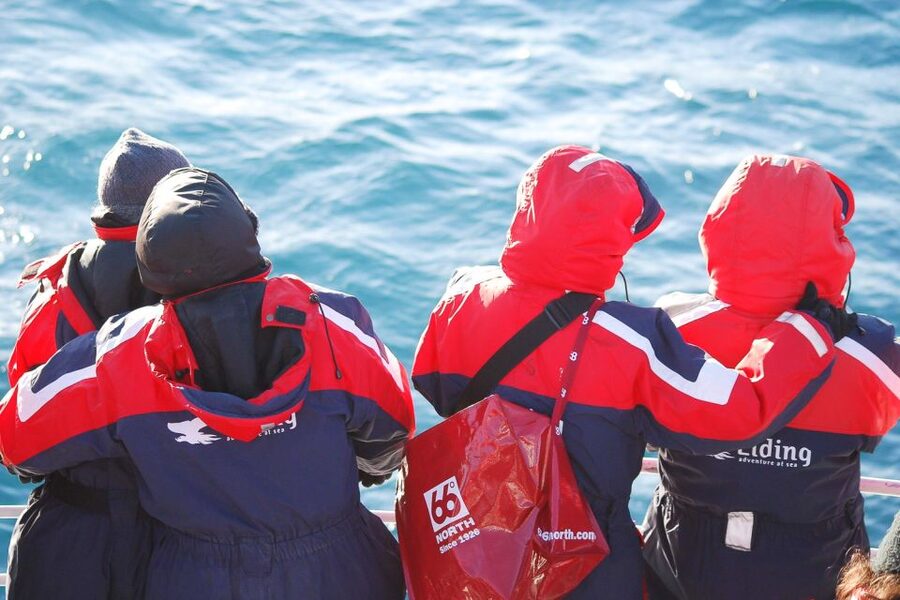 Reykjavik: the Original 3-Hour Whale Watching Tour - Who should book this Reykjavik whale tour?