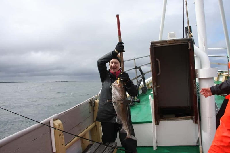Reykjavik: Traditional Sea Fishing with BBQ Feast - FAQ