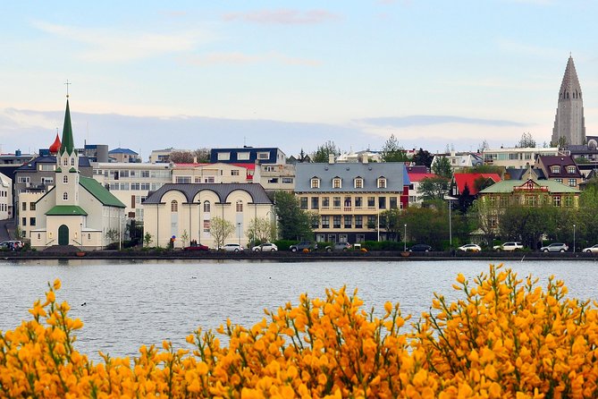 Reykjavik Walking Tour - Walk with a Viking - Austurvöllur, City Hall, and Tjörnin