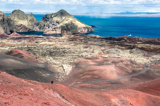 Reykjavik - Westman Islands (Bus transfer to Landeyjahöfn) - Who will like this transfer most