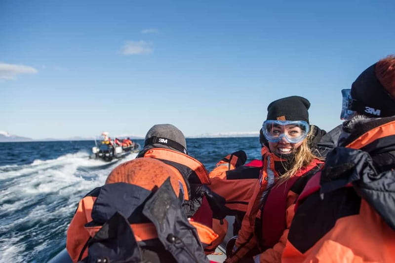 Reykjavik: Whale and Puffin Watching RIB Boat Tour - Key points to know before you book
