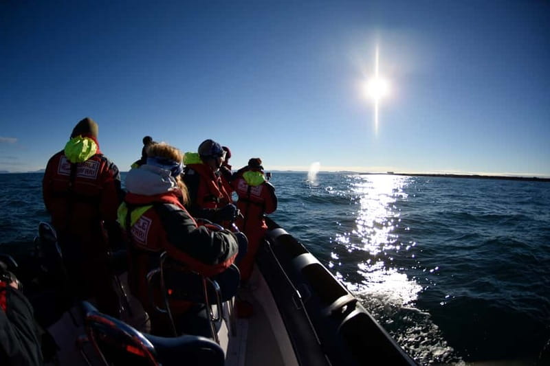 Reykjavik: Whale and Puffin Watching RIB Boat Tour - What to wear for two hours on the water